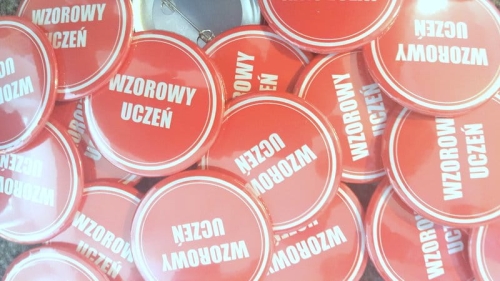 przypinki wzorowy uczeń.jpg