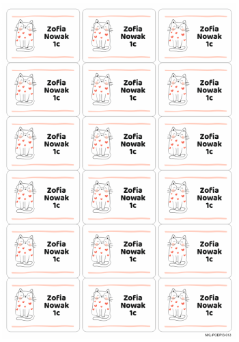 naklejki imienne na zeszyty książki kotek