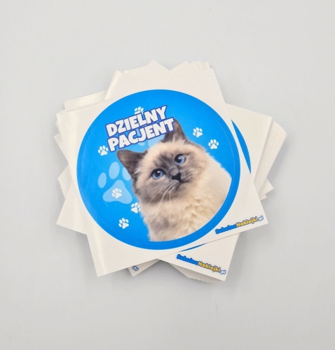 naklejki dzielny pacjent kotki (2).jpg