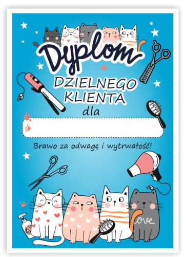 DYPLOM FRYZJER 2.PNG