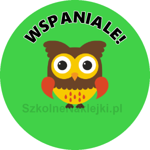 Przypinka ⌀ 58 mm zaprojektowana przez klienta
