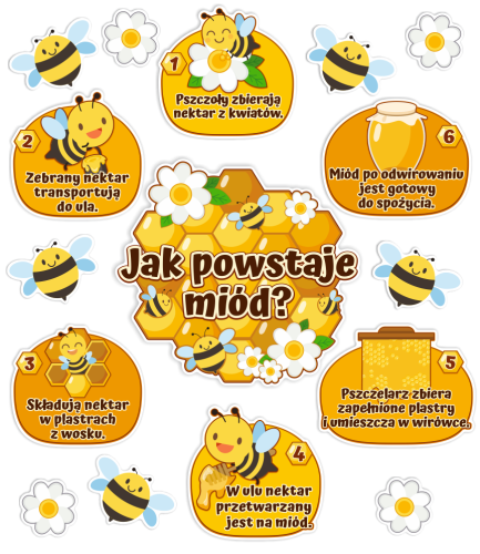 Dekoracja na gazetkę - Dzień Pszczoły - Jak powstaje miód? (~A3, jednostronna)