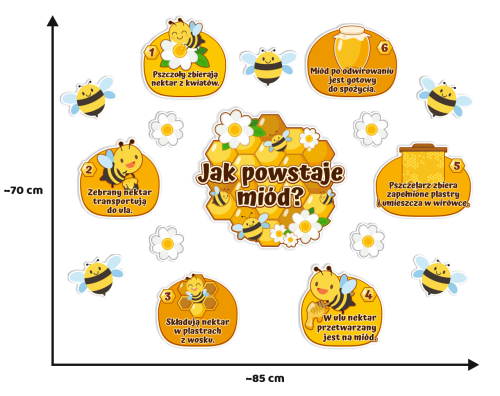 Dekoracja na gazetkę - Dzień Pszczoły - Jak powstaje miód? (~A3, jednostronna)