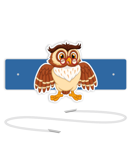 Opaski papierowe - Sowa (5 szt. + gumki)