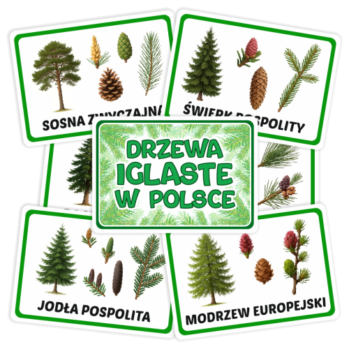 Karty - Drzewa Iglaste w Polsce (11 kart, format A5)
