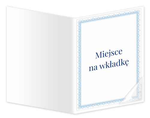 Teczka: Nagroda Dyrektora - wzór 3 (format A4+)