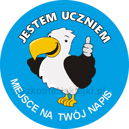 Przypinka samodzielnie zaprojektowana #326