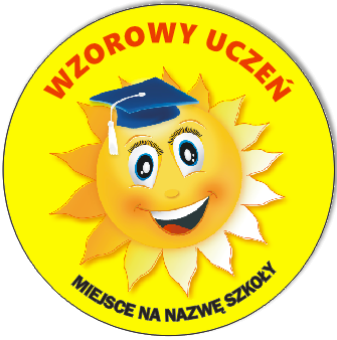 przypinka wzorowy uczeń słoneczko