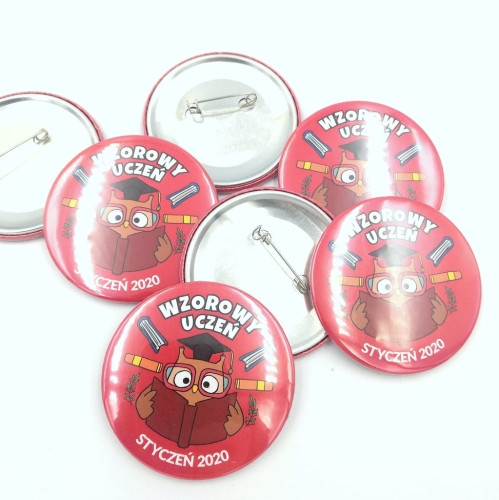 przypinki wzorowego ucznia z sową.jpg
