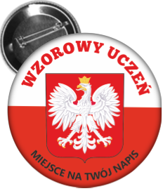 przypinka wzorowego ucznia z godłem