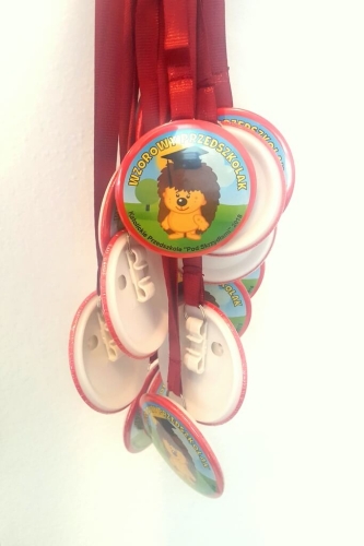 medal wzorowego przedszkolaka jeżyk