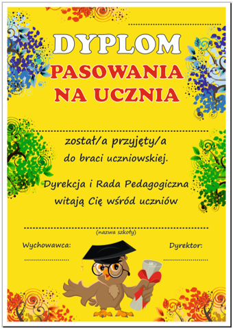 Dyplom pasowania na ucznia sowa