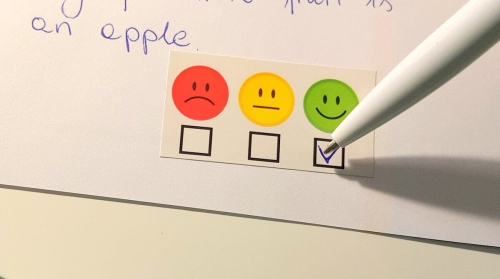 Naklejki Oceny  "3 Buźki - Wklej i Zaznacz" (prostokątne, 132 szt.)