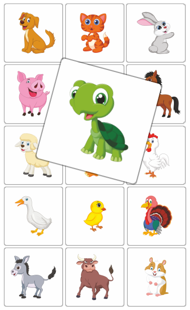 flashcards wakacje karty obrazkowe
